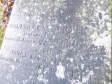 image of grave number 613945